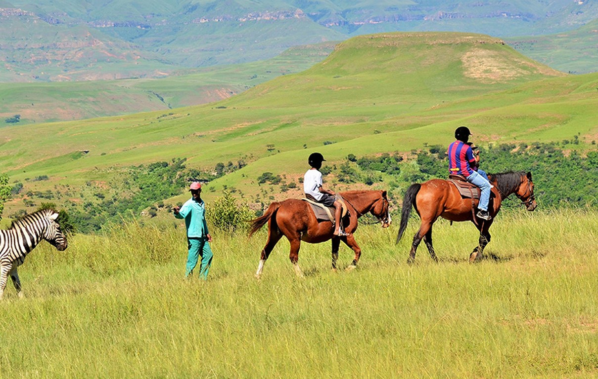 LS-main-slider-9 (Copy)