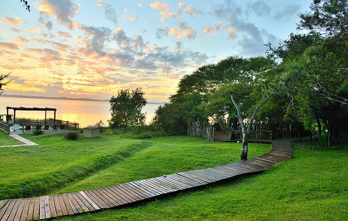 NIBELA-2019-JAN-195 (Copy)