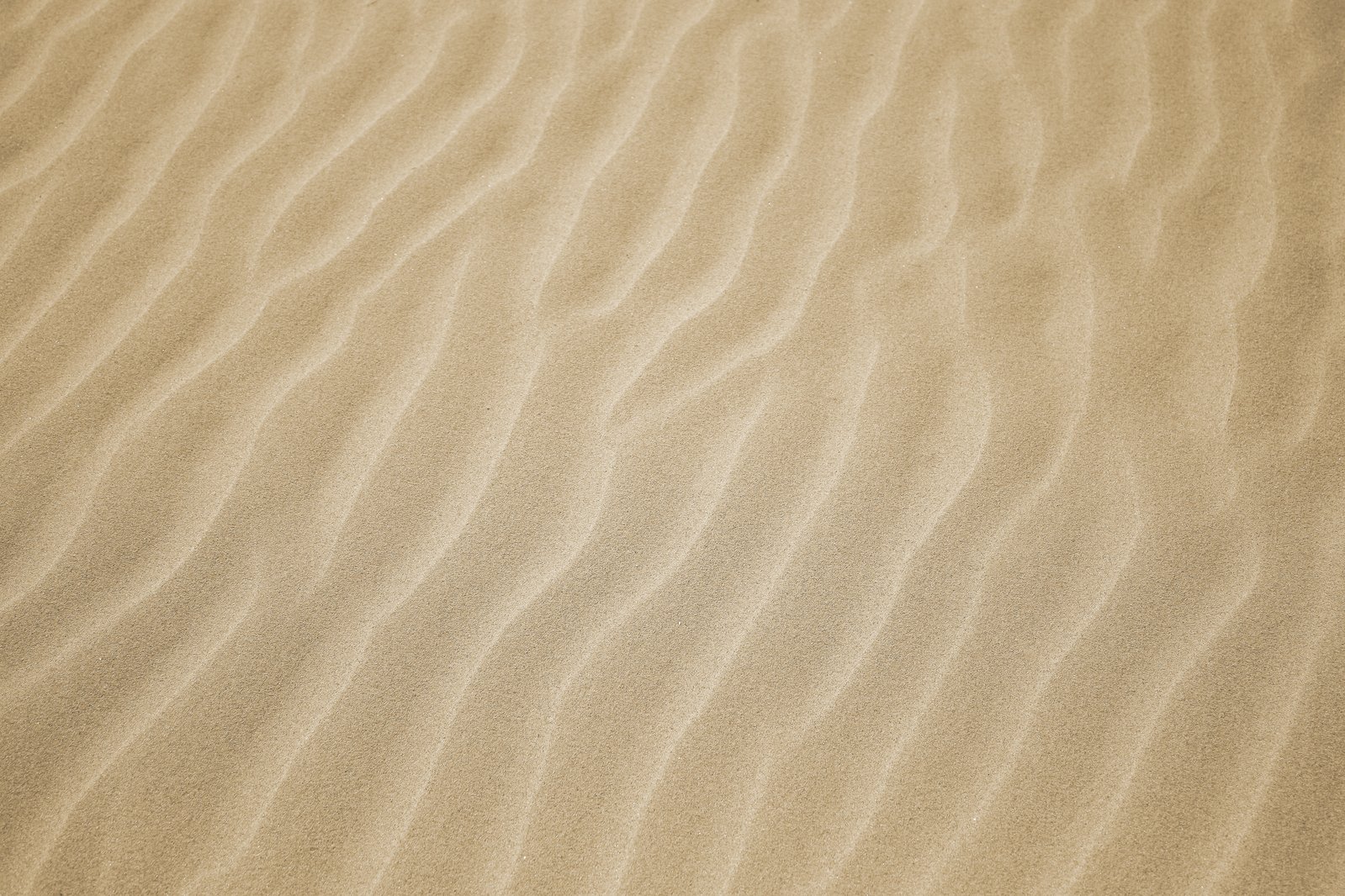 beach sand