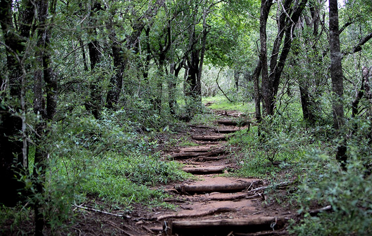 royal-tonga-11 (Copy)
