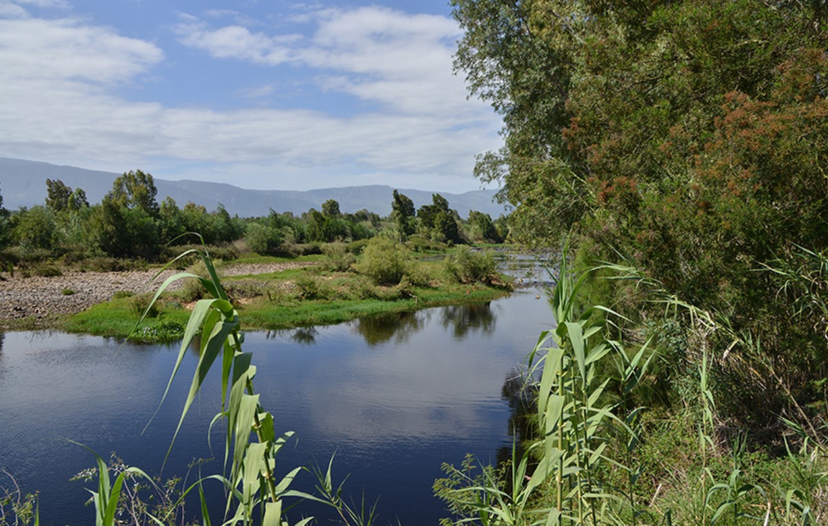 stonehill-gallery_10 (Copy)